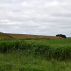 Understanding The Impact Of Climate Change On Agriculture?