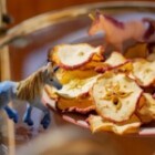 How To Choose The Best Weight Loss Program?