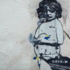 Understanding The Impact Of Climate Change On Our Environment?