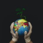 The Importance Of Sustainable Practices In Modern Businesses