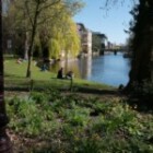 How Can Urban Gardening Transform Your Living Space?