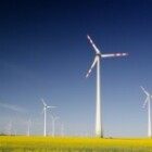 Understanding The Impact Of Renewable Energy On Economic Growth