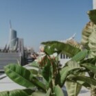 The Importance Of Sustainable Living In Today’s World?