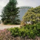 Exploring The Benefits Of Daily Meditation For Mental Health?