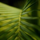 Exploring The Benefits Of A Plant-Based Diet: Is It Right For You?