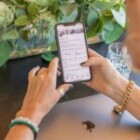 How To Optimize Your Website For Search Engines?