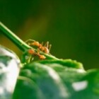 The Importance Of Effective Communication In The Workplace