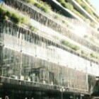 The Impact Of Sustainable Living On Our Future?