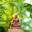 Exploring The Benefits Of Mindful Meditation For Stress Relief?